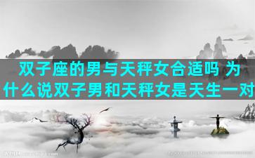 双子座的男与天秤女合适吗 为什么说双子男和天秤女是天生一对
